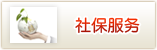 社保服务